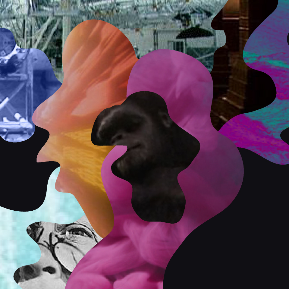 Princess of Mars collage